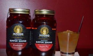 3hundred days of shine_Donation Pic